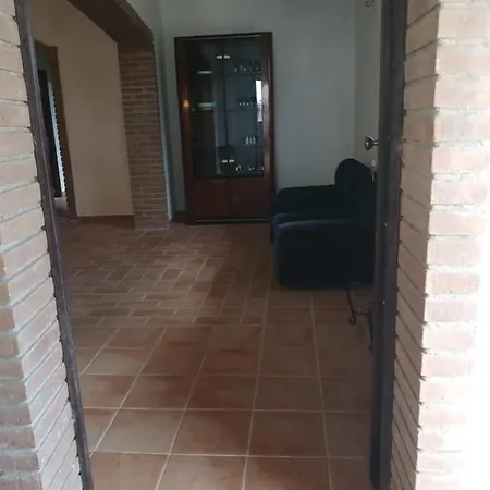 Happy Фоссачезия